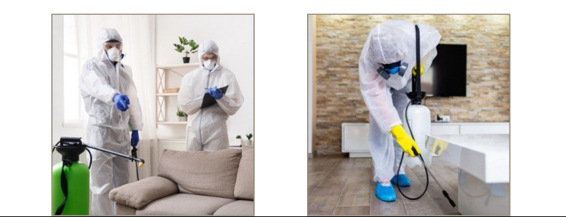 disinfection services in dubai