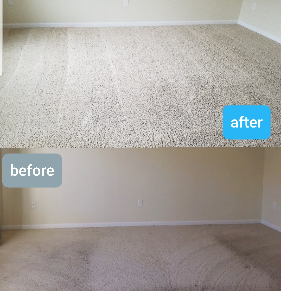 1 Carpet Cleaning Services In Dubai Carpet Cleaning